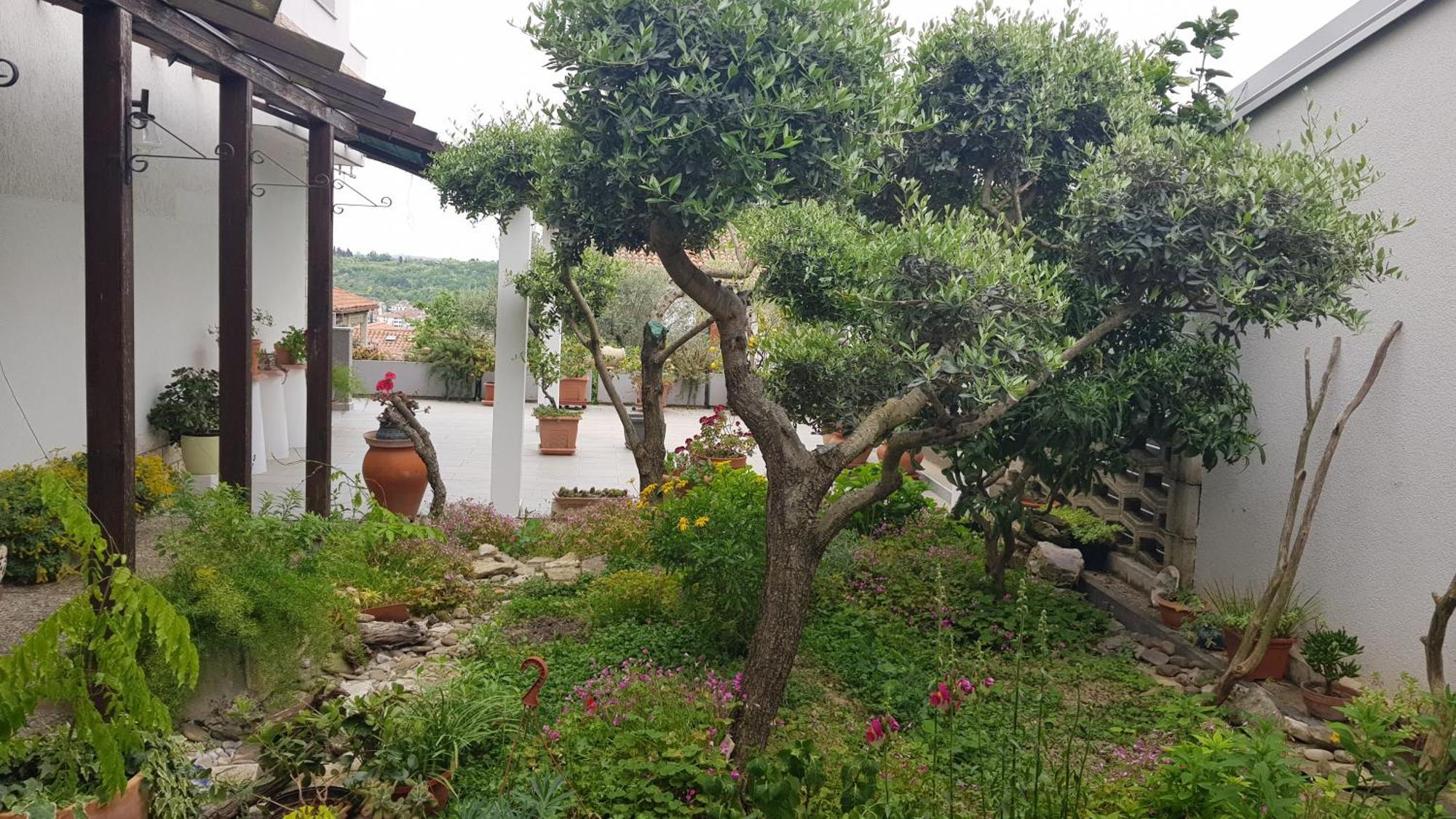 Tramontana Daire Lucija Dış mekan fotoğraf