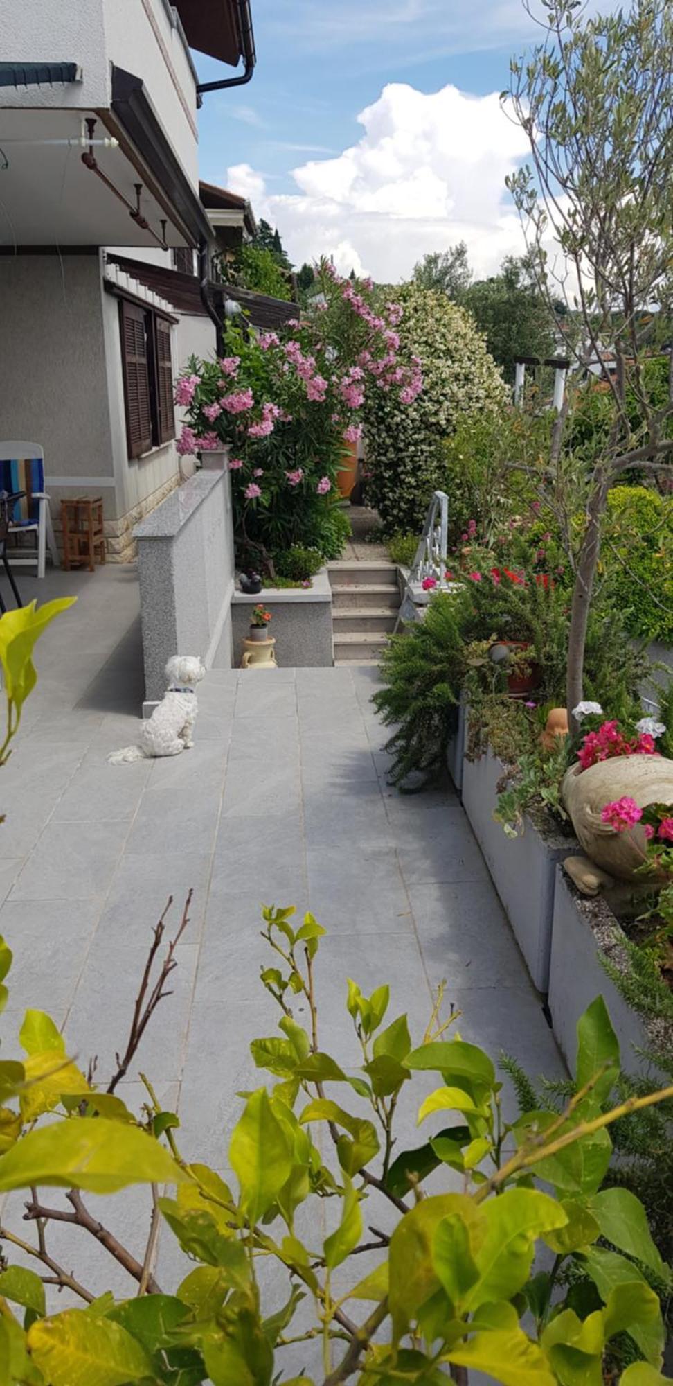 Tramontana Daire Lucija Dış mekan fotoğraf