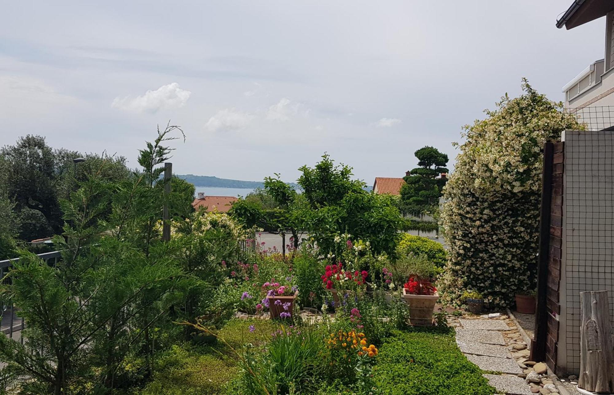 Tramontana Daire Lucija Dış mekan fotoğraf
